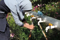 mthumb4